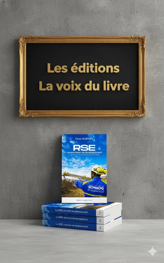 Essai sur la RSE au Gabon MOANDA de Pierre MOPOBA